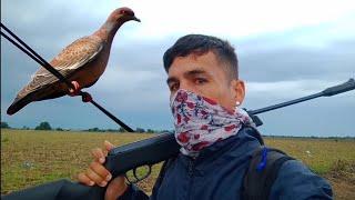 CAZA de PALOMAS con SR1000!️ (cazando en la lluvia️) @Caza1994