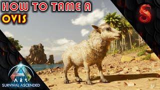 ARK SURVIVAL ASCENDED WHERE TO FIND AND HOW TO TAME OVIS