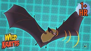 Fearless Bats! Bat Rescue Mission | Animal Cartoons for Kids | Wild Kratts | 9 Story Kids