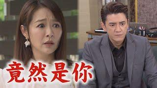 【願望】EP245 廷偉為甩開詩涵設局誣賴他 廷恩不忍出手解救｜完全娛樂