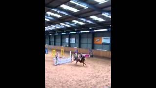 Dunmoon at NSEA show jumping