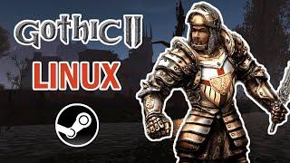 Как запустить Готика 2 на Linux | Gothic 2 Linux | STEAM