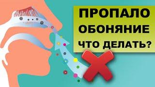 ПОТЕРЯ ОБОНЯНИЯ. Почему мы не чувствуем запахи