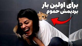 برای اولین بار گربه مو بردیم حموم  باور نمیکنید فی‌فی چیکار کرد