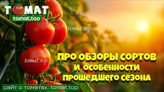 Про обзоры сортов и об особенностях прошедшего томатного сезона  Для лучшего взаимопонимания