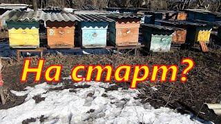 Стартовать или подождать???