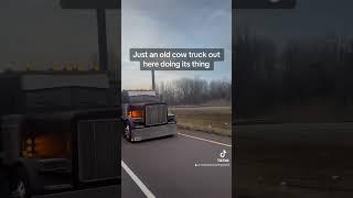 Just an old cow truck out here doing its thing! #truck #cattle #cowtruck #fallrun