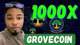 GROVE COIN COULD 100X  #grovecoin #altcoin #crypto #blockchain