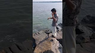 എല്ലാരും കടിച്ച് കേറി വാ.. #fishing #fisherman #seafishing #fishingmalayalam #shorts #fish