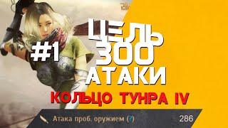 Цель - 300 Атаки в Black Desert | #1