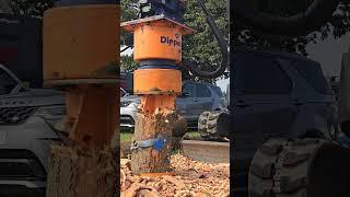 Need some stumps taken care of? Dipperfox could do the trick.#forestry #forestmachine #dipperfox