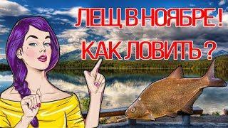 Как и на что ловить леща в ноябре , секреты ловли леща в ноябре