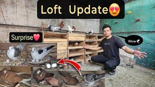 LOFT UPDATE!️