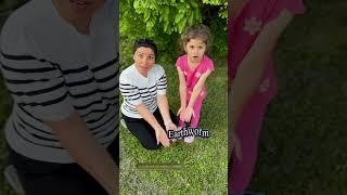 Amazing Animals That Start with E! 