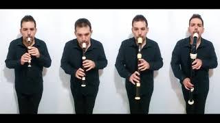 The Turtles - Happy Together - arranged for Recorder Quartet by Orlan Charles