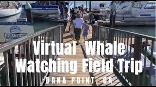 Virtual Whale Watching Field Trip Dana Point , Ca.