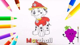 PAW Patrol  Kids Colouring | Giggles & Grapes