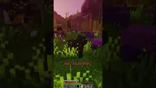 MONKEYS IN MINECRAFT...