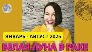 БЕЛАЯ ЛУНА СЕЛЕНА в Раке ЯНВАРЬ- АВГУСТ 2025. ПОМОЩЬ ВЫСШИХ СИЛ  РОДУ, СЕМЬЕ, С ДЕТЬМИ #гороскоп2025