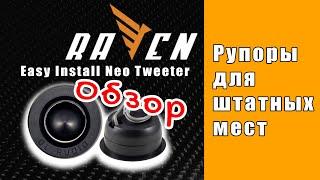 Эстрадный рупор для штатных мест - DL Audio Easy Install Neo Tweeter [Live-обзор]