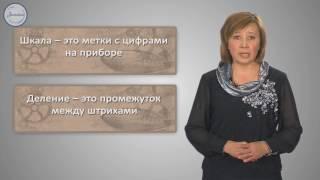 Физика. 7 класс. Физические величины.  Измерение физических величин.  Система единиц