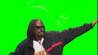 Snoop Dogg Airplane Green Screen