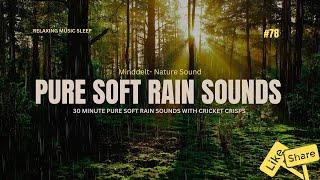 30 MINUTE PURE SOFT RAIN SOUNDS WITH CRICKET CRISPS - Relaxing Music Sleep  , Sleep Music