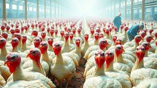 CHINA'S HIDDEN EMPIRE: Inside the Billion-Dollar Turkey Farms & Factories! 