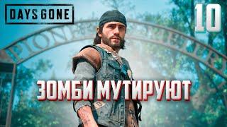 DAYS GONE ►ЖИЗНЬ ПОСЛЕ # 10 - зомби мутируют и эволюционируют ! (прохождение)