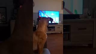 Eros is Watching TV in the Netherlands - Takis Shelter