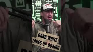 Brendan Schaub Inside info on Dana White being a Boxer