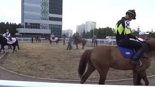 ипподром акбузат скачки конный спорт-терра башкирия 2025 уфа башкирия.животные лошади