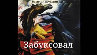 Василий Шукшин. Рассказ "Забуксовал" (аудиокнига)