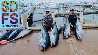 SAN DIEGO FISHING REPORT | BIG BLUEFIN TUNA Sportfishing Offshore & LA JOLLA YELLOWTAIL May SDFS