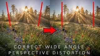 Correct Wide-Angle Perspective Distortion In Photoshop