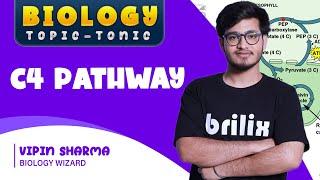 C4 Cycle/ Hatch and Slack Pathway | Biology Topic Tonic #brilix