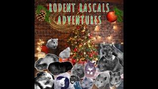MERRY CHRISTMAS: Our Rodent Rascals Adventures Family
