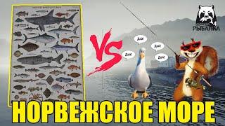 Russian Fishing 4 / Русская рыбалка 4 / РОЗЫГРЫШ ПРЕМОВ ,