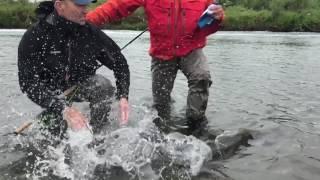 Slow Motion King Salmon Release