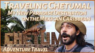 Chetumal is a Tropical Paradise!  Culture, Nature, and Alligators on the Mexican Caribbean  vlog