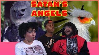 Satan's Favorite Birds! | Casual Geographic Reaction