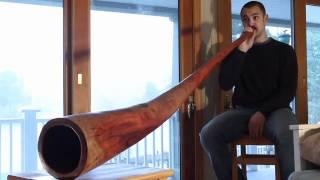 Ben Malcom Plays a WET Didgeridoo