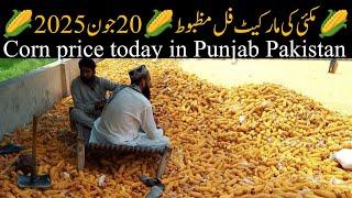 Maize rate today in Punjab Pakistan // مکئی ریٹ آج پنجاب پاکستان 20.06.2025