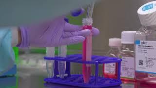 Freezing Cells: Cell Culture Basics