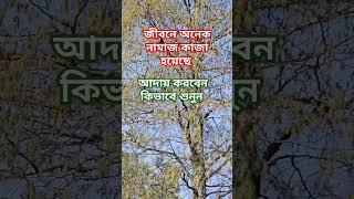 কাজা নামাজ কিভাবে পড়বেন #islamicstatus #namaz #religion #motivation #shorts #video #nature #view