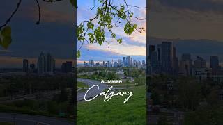 Calgary in Summer | Calgary Downtown. ##canada #alberta #calgary #shorts