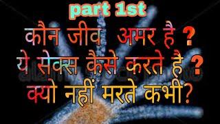 ये अमर जनवर है,ये सेक्स कैसे करते हैं,ये अमर कैसे,hydra,ये कभी नहीं मरते है,1st  video