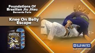 Bernardo Faria Fundamentals Trailer