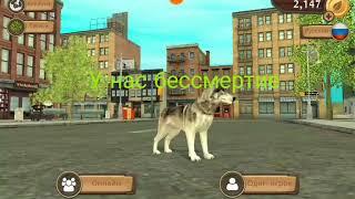 Аккаунт dog sim + бессмертие бесконечные монеты