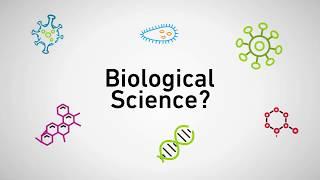 BSc (Hons) Biological Science: Choose your pathway